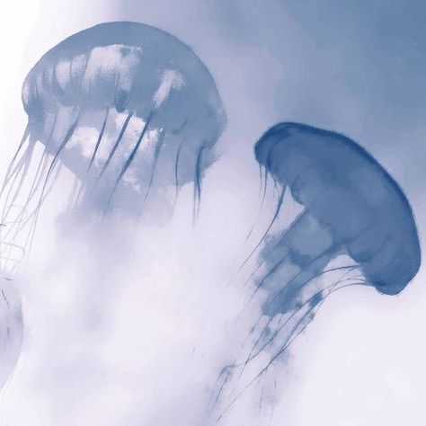 Blue Pfps, Pfps Icons, Blue Jellyfish, August 17, Jellyfish, Floating, Light Blue, Water, On Instagram