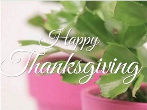 Aka Happy Thanksgiving, Happy Thanksgiving Aka, Happy Thanksgiving Aka Sorors, Pink And Green Thanksgiving, Aka Thanksgiving, Aka Party, Aka Christmas, Event Planning Guide, Alpha Woman