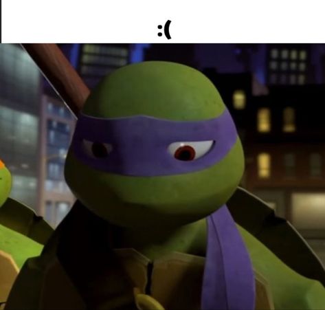 2012 Donnie, 2012 Tmnt, Donatello Tmnt, Tmnt Characters, Response Memes, Ninja Turtles Funny, Teenage Mutant Ninja Turtles Art, Ninja Turtles Artwork, Tmnt Artwork