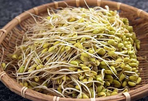 Soybean sprout side dish (Kongnamul-muchim) recipe by Maangchi Soybean Sprouts, Asian Vegetables, Bean Sprouts, Edamame, Non Gmo, Garden Seeds, Japchae, Very Well, Sprouts