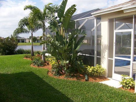 Swimming Pool Area Landscaping Projects Poolside Landscape Ideas, Pool Area Landscaping, Lanai Decorating, Plants Around Pool, Pool Screen Enclosure, Swimming Pool Area, Landscaping Around Pool, Pool Cage, Poolside Decor