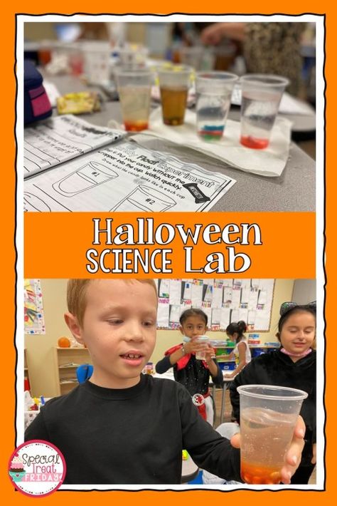 Fun Halloween Activities, Join us for a Halloween Science Lab, interactive science lab where students get to participate, 2nd Grade Science, 1st Grade Science, second grade science, first grade science, 1st grade science experiments, 2nd grade science experiments, 1st grade science lab, 2nd grade science lab, Halloween activities, Virtual Halloween activities, virtual Halloween fun, Halloween Activities for school, Halloween Fun for Kids, Homeschool Halloween Activities Science Lab Halloween, Halloween Activities For School, Science Second Grade, 2nd Grade Science Experiments, 1st Grade Science Experiments, Halloween Science Lab, Science First Grade, Science 1st Grade, Halloween Fun For Kids