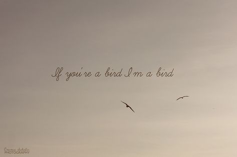 If you're a bird, I'm a bird. - The Notebook A Bird Tattoo, Love Me Harder, Bird Quotes, The L Word, Love Is Everything, Bird Tattoo, The Notebook, Love Others, Sweet Nothings