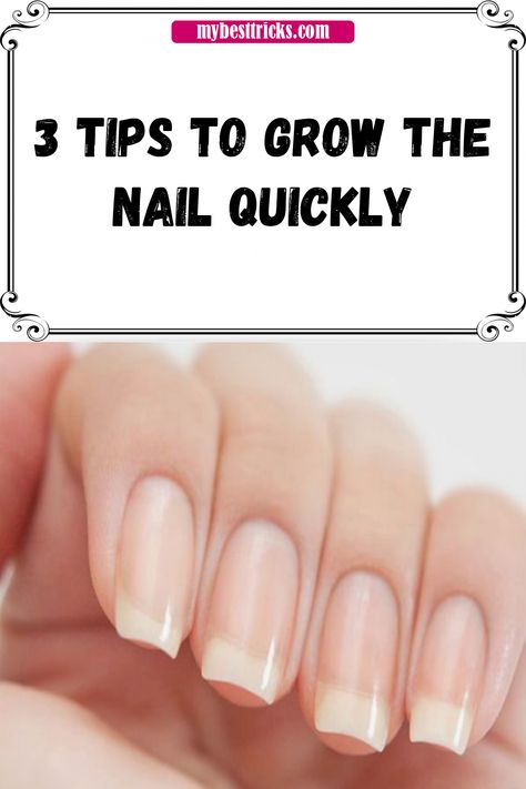 Make Nails Grow, Grow Long Nails, Nail Growth Tips, Tropical Vacation Nails, Grow Nails Faster, Nails Care, Body Tips, Real Nails, Natural Nail Art