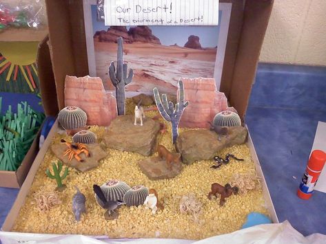 Desert Diorama Examples Scorpion Habitat Diorama, Ecosystems Diorama, Landform Projects, Biome Project, Desert Habitat, Desert Project, Desert Diorama, Biomes Project, Diorama Project