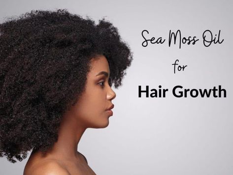 Sea Moss Oil Recipe, Hair Conditioner Recipe, Hair Oil Recipe, Alkaline Vegan, Help Hair Grow, Natural Hair Treatments, Homemade Shampoo, Irish Moss, Oil For Hair