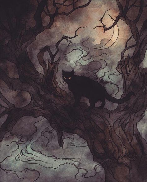 Black Cat A Black Cat, A Tree, Cat Art, A Black, Black Cat, Moon, Halloween, Black, Art