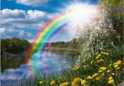 Rainbow Landscape, Rainbow After The Rain, Landscape Wall Mural, Rainbow Lake, William Wordsworth, Therapeutic Art, Square Painting, John Keats, Tatty Teddy