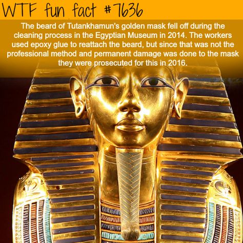 King Tut Facts, Golden Mask, King Tutankhamun, What The Fact, History Facts Interesting, Tutankhamun, King Tut, Egyptian History, Random Facts