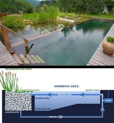 natural swimming pool using shipping container - Google Search ... Piscina Container, Container Pool, Natural Swimming Ponds, Backyard Pond, Swimming Pond, Natural Pond, Natural Swimming Pools, Natural Swimming Pool, Dream Pools