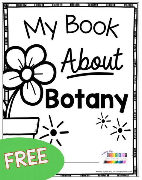 PRIMARY SCIENCE SERIES - PLANTS Learn all about Plants - life cycle of plants - food for plants - life science - kindergarten science - spring science unit - experiments - FREEBIES - parts of a plant - humans need plants #kindergartenscience #kindergarten Life Cycle Kindergarten, Plant Unit Kindergarten, Cycle Food, Plant Lap Book, Life Cycles Kindergarten, Plant Life Cycle Worksheet, Homeschool Units, Plants Science, Plants Kindergarten