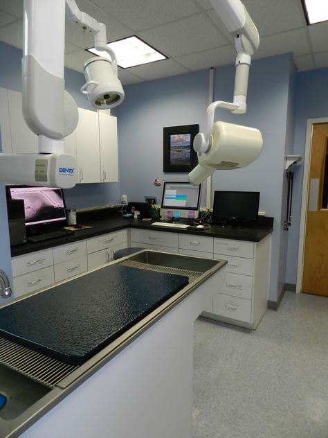 Veterinary Dental Suite, Veterinary Laboratory Design, Veterinarian Hospital Design, Vet Hospital Ideas, Vet Hospital Design, Vet Office Decor, Euthanasia Room Vet Clinic, Hospital Floor Plan, Vet Office