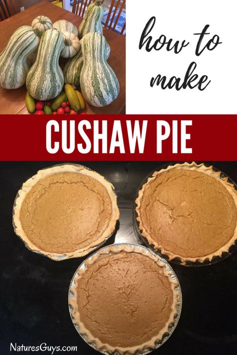 Cushaw Recipes, Cushaw Pie Recipe, Cushaw Pie, Leftover Squash, Cushaw Squash, Squash Pie Recipes, Stuffed Jalapenos, Crumb Cakes, Squash Pie