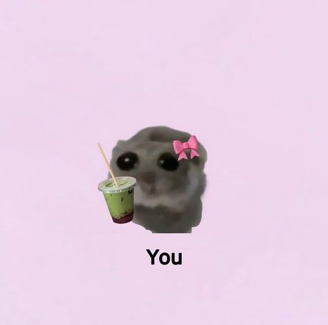 Everyone needs a matcha bestie 🥹🍵 original @melbmatchagirlies #matchalatte #matchalover #sadhamster #icedmatcha Matcha Memes Funny, Matcha Caption, Matcha Cartoon, Jamie Core, Matcha Quotes, Gif Pixel, Matcha Aesthetic, Strawberry Matcha, Iced Matcha