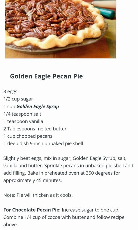 Golden Eagle Pecan Pie. ALSO Chocolate Pie variation. Golden Eagle Syrup Pecan Pie, Golden Eagle Pecan Pie, Winter Pies, Pioneer Woman Pecan Pie, Pecan Pie Bar, Baking Contest, Fudge Pie, Pie Bar Recipes, Pecan Pie Cheesecake