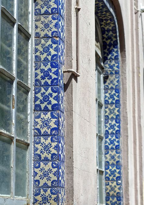 Talavera    |  Azúl México  |  Anne-Marie Ryan photography  2018 Blue Talavera, Blue Tiles, Anne Marie, New Homes, Milk, Living Room, Photography, Blue, Mexico