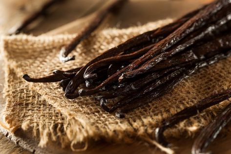 Where Artificial Vanilla Extract Comes From and How It’s Made Grow Vanilla Beans, Vanilla Extract Recipe, Vanilla Plant, Cassia Cinnamon, Bean Pods, Homemade Vanilla Extract, Freeze Dried Fruit, Candle Candle, Vanilla Beans