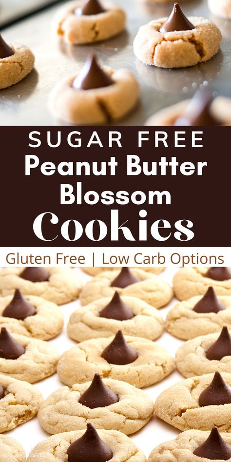 Stevia Peanut Butter Cookies, Splenda Cookie Recipes, Bariatric Christmas Cookies, Keto Peanut Butter Blossom Cookies, Gluten Free Recipes For Diabetics, Christmas Treats For Diabetics, Christmas Cookies For Diabetics, Deserts For Diabetics, Low Carb Sugar Free Desserts