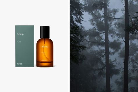 Aesop Photoshoot, Aesop Perfume, Aesop Hwyl, Aesop Hand Wash, Aesop Fragrance, Aesop Reverence Aromatique Hand Wash, Perfume Brands, Holiday Packaging, Natural Cosmetics