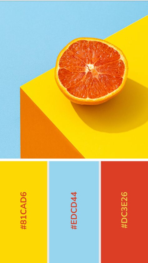 Yellow Palette, Color Design Inspiration, Color Palette Yellow, 타이포그래피 포스터 디자인, Good Color Combinations, Color Palette Bright, Bold Color Palette, Brand Color Palette, Color Palette Design