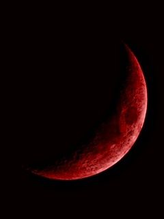 Blood red moon. Red Moon Background, Red Moon Aesthetic, Red Crescent Moon, Blood Red Moon, Moon Symbols, Cover Wattpad, Fairytale Photography, Blood Art, Universe Galaxy