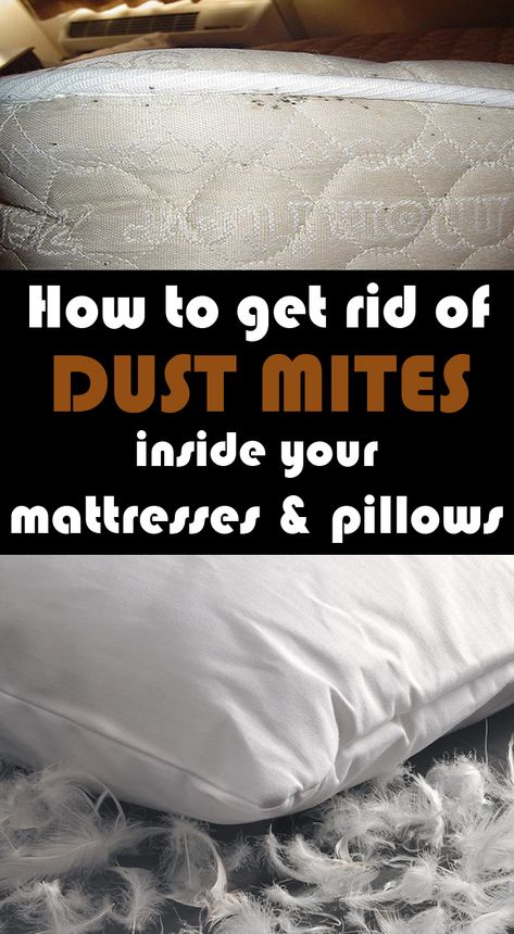 How to get rid of dust mites inside your mattresses and pillows - 101CleaningTips.net Clean Baking Pans, Cleaning Painted Walls, Cleaning Stuff, Body Sweat, Glass Cooktop, Deep Cleaning Tips, Baking Soda Uses, Cleaning Closet, Diy Cleaners