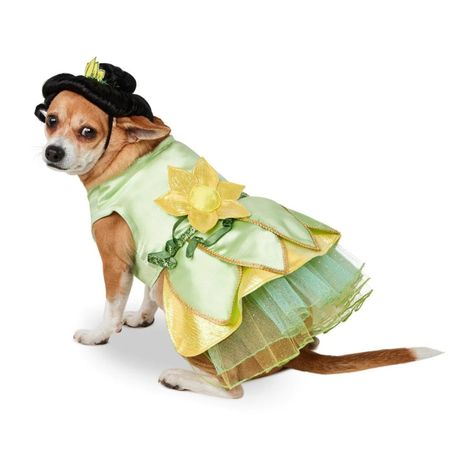 The Princess & The Frog Tiana Dog Pet Costume - L - Disney Halloween Dress & Wig Tiana Costume, Character Features, Princesa Tiana, Disney Dogs, Princess Tiana, Princess And The Frog, Dog Costumes, Disney Character, Dog Costume