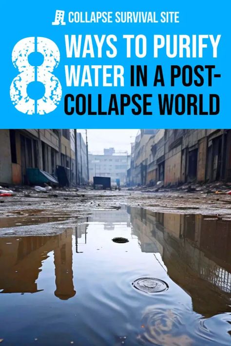 After the collapse, cities won't be able to keep the water supply clean. It will be up to you to purify your water. Here are 8 methods. How To Filter Rain Water For Drinking, Water Filtration Diy, Water Survival, Water Purification Tablets, Purify Water, Off Grid Survival, Emergency Water, Camping Water, Survival Hacks