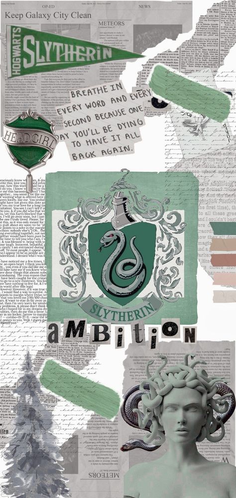 Slytherin Wallpaper, Drako Malfoy, Best Riddle, Slytherin Harry Potter, Slytherin House, Dark Green Aesthetic, Hogwarts Aesthetic, Harry Potter Tumblr, Slytherin Aesthetic