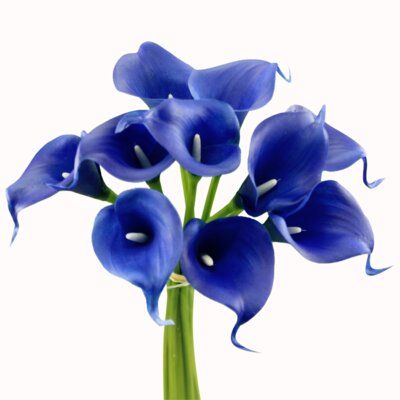 Purple Flower Names, Blue Calla Lily, Quilling Flowers Tutorial, Flower Foam, Picasso Blue, Artificial Floral Arrangements, Lily Bloom, Peonies Garden, Flower Names