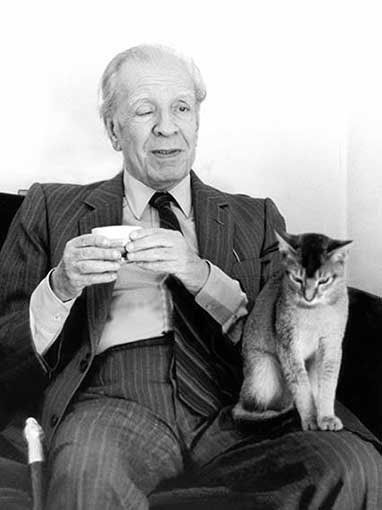 borges y odin - Google Search People With Cats, Celebrities With Cats, Men With Cats, Cat Template, Animals Friendship, Writers And Poets, Cat People, Cat Person, Crazy Cat Lady