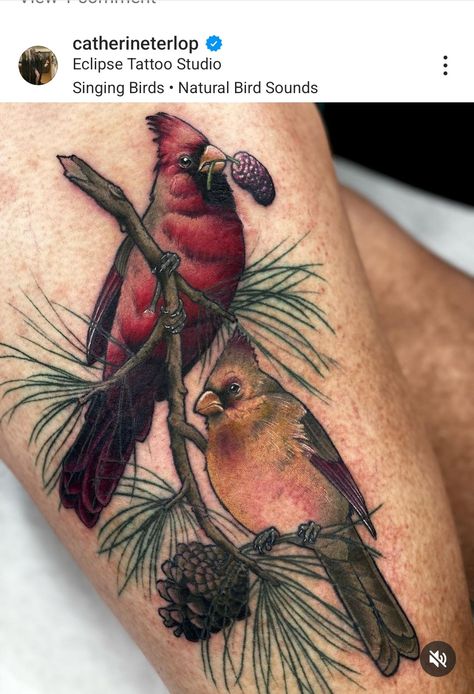 Cardinal Bird Tattoos, Evergreen Tattoo, Pinecone Tattoo, Cardinal Tattoo, 2 Tattoo, Bird Tattoo, Cardinal Bird, Cardinal Birds, Mom Tattoos