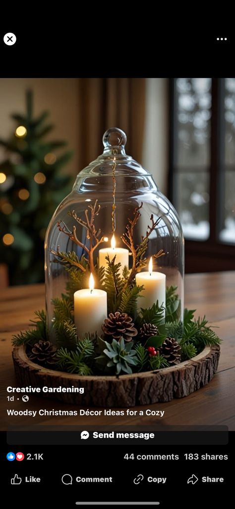 Christmas Cloches Decor Ideas, Small Cloche Ideas, Winter Cloche Ideas, Diy Cloche Ideas, Christmas Cloche Ideas, Christmas Cloche, Cloche Ideas, Cloche Decor, Bird Cage Decor