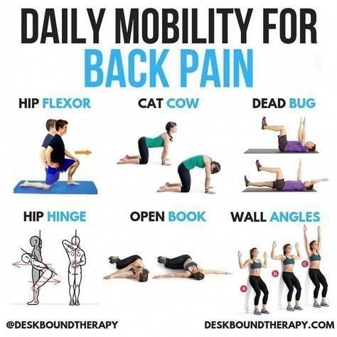 Best Exercises for  Back Pain Back Strengthening Exercises, Core Strength Exercises, Strength And Mobility, Strength Exercises, Back Stretches For Pain, Lower Back Pain Exercises, Upper Back Pain, Lower Back Exercises, Mobility Exercises