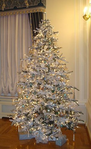 Never thought I would like an all white tree, but this is beautiful! Holiday Trees, Silver Christmas Tree, A White Christmas, Winter Blue, Flocked Christmas Trees, Holiday Christmas Tree, Beautiful Christmas Trees, Pretty Christmas, Silver Tree