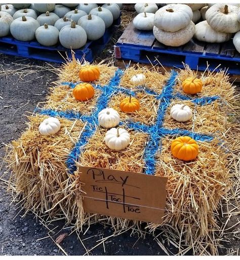 Outdoor Fall Decor For School, Trunk Or Treat Farmers Market, Fall Booths Ideas, Fall Bash Ideas, Pumpkin Festival Decorations, Fall Festival At Home, Fall Festival Centerpieces, Home Pumpkin Patch Ideas, Fall Fest Booth Ideas