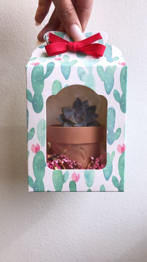 Packing Plants For Shipping, Plant Delivery Packaging, Packaging Plants Ideas, Plant Gift Box Ideas, Herb Garden Designs, Cactus Gift Box Ideas, Kaktus Dan Sukulen, Herbs Garden, Packaging Template Design