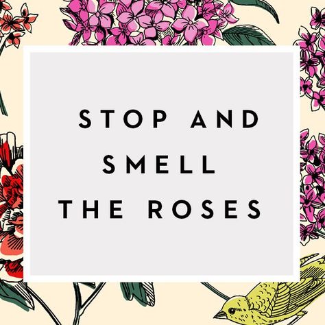 Stop and Smell The Roses Smell The Roses Quote, Poem Memes, Rose Quotes, Stop And Smell The Roses, Roses Tattoo, Smell The Roses, Inspirational Speaker, Flower Quotes, Wonderful Words