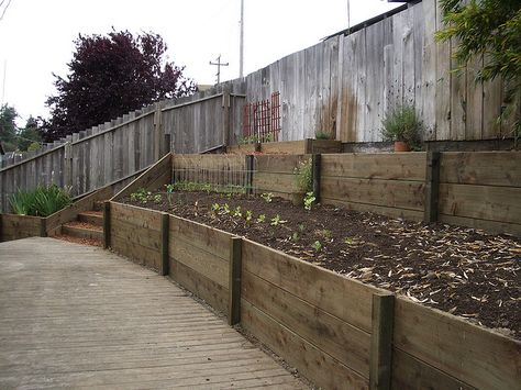 Retaining wall with 2x12 pressure treated wood 2 by Humboldt Landscape, via Flickr Inexpensive Retaining Wall Ideas, Cheap Retaining Wall, Wooden Retaining Wall, California Landscaping, Wood Retaining Wall, Backyard Retaining Walls, Pictures Landscape, Sloped Backyard Landscaping, Walls Design