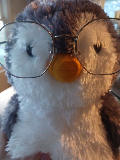 Penguin With Sunglasses, Plushies With Glasses, Penguin Icon Aesthetic, Peanut Penguin, Penguin With Glasses, Aesthetic Penguin, Brown Penguin, Penguin Teddy Bear, Penguin Aesthetic