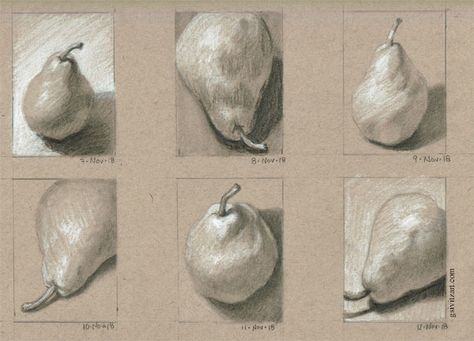 6 Days of Pear Sketches graphite and white charcoal on Strathmore toned tan sketch paper Charcoal Toned Paper, Art On Toned Paper, Charcoal On Brown Paper, Charcoal On Toned Paper, Strathmore Toned Tan, Toned Paper Drawing Ideas, Tan Toned Paper Art, Gray Toned Paper Drawing, Drawing Toned Paper