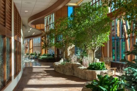 Outdoors comes in Green Hospital, Healing Decor, Healing Environment, Healthcare Interior Design, Leisure Space, Health And Wellness Center, Healing Garden, Urban Forest, Indoor Trees