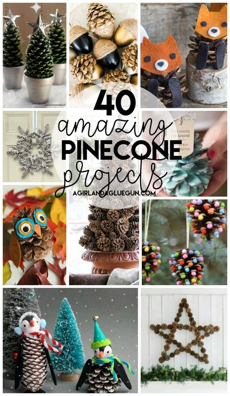 40-amazing-pinecone-projects-from-a-girl-and-a-glue-gun Gather up these free resources can create something amazing! Perfect fall activity Pinecone Projects, Pinecone Crafts Kids, Pinecone Crafts Christmas, Pinecone Crafts, Pine Cone Art, Christmas Pine Cones, Pine Cone Decorations, Cones Crafts, Christmas Tree Crafts