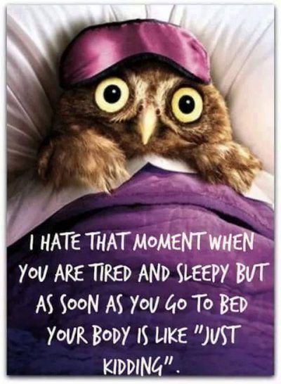 Cant Sleep Meme, I Cant Sleep Quotes, Cant Sleep Quotes Funny, Cant Sleep Quotes, Sleep Quotes Funny, Funny Good Night Quotes, Tired And Sleepy, Good Night Funny, Sleep Quotes