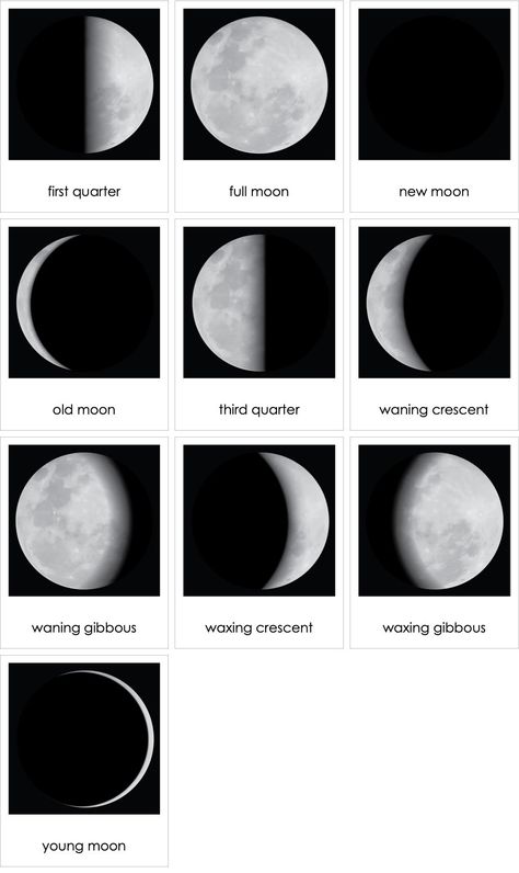 Moon Phases Northern Hemisphere | AMI Digital Moon Phases Pictures, Full Moon Names, Moon Names, Carl Sagan, Letter Paper, Moon Phases, Full Moon, Paper Size, Digital Illustration