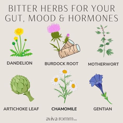 Bitter herbs for good gut mood and hormones Dr Sebi Herbs, Bitter Herbs, Follicular Phase, Dandelion And Burdock, Natural Medicines, Herbal Education, Kid Meals, Medical Herbs, Menstrual Health