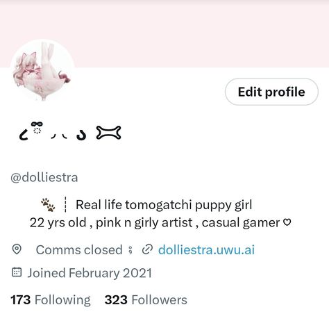 Bunny Username Ideas, Twt Account Ideas, Cute Twitter Bios, Aesthetic Bio For Twitter, Aesthetic Twitter Accounts, Pink Twitter Layout, Bios For Twitter, Twitter Account Aesthetic, Pink Layout Twitter