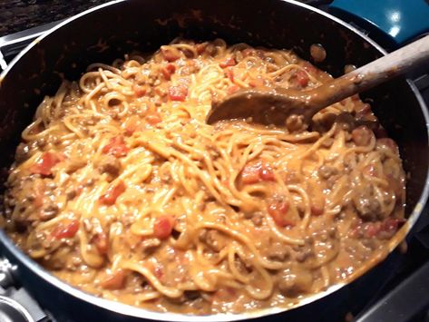 Creamy Taco Spaghetti, Taco Spaghetti Casserole, Taco Pasta Casserole, Creamy Taco Pasta, Spaghetti Casserole Recipe, Pasta Casserole Recipes, Taco Spaghetti, Baking Measurements, Spaghetti Casserole