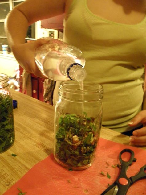 Herbal Tinctures- What Are They & How To Make One Oregano Vodka Tincture, Purslane Tincture, Plant Healing, Cheap Vodka, Tinctures Recipes, Herbal Tinctures, Healthier You, Herbal Medicine, Fresh Herbs