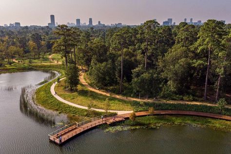 The Most Beautiful Attractions and Places to Visit in Houston - Thrillist Cemetery Landscape, Places In Houston, Rice University, Places To Explore, Riverside Park, Park Landscape, Lake Park, Lake Landscape, Memorial Park